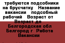 требуются подсобники на брусчатку › Название вакансии ­ подсобный рабочий › Возраст от ­ 19 › Возраст до ­ 60 - Белгородская обл., Белгород г. Работа » Вакансии   
